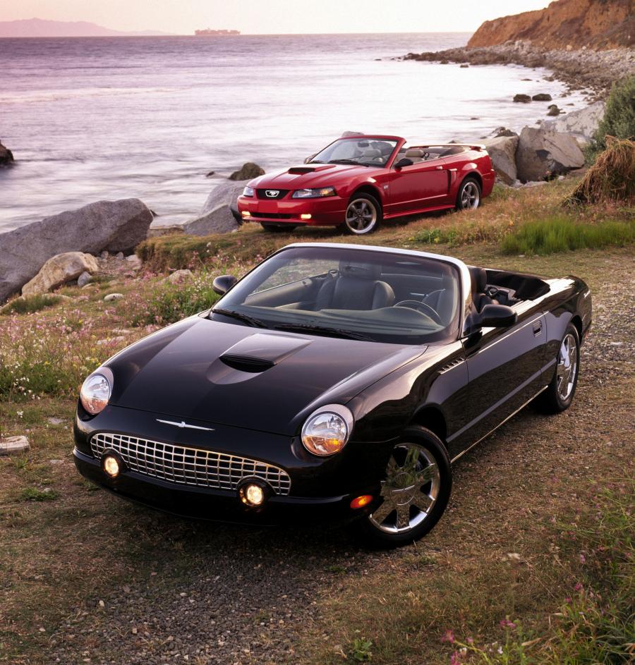  Ford Thunderbird 2002 года  (фото 8 из 161)